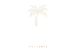 topincoco charcoal manufacturer from indonesia 